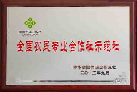 全国合作社示范社