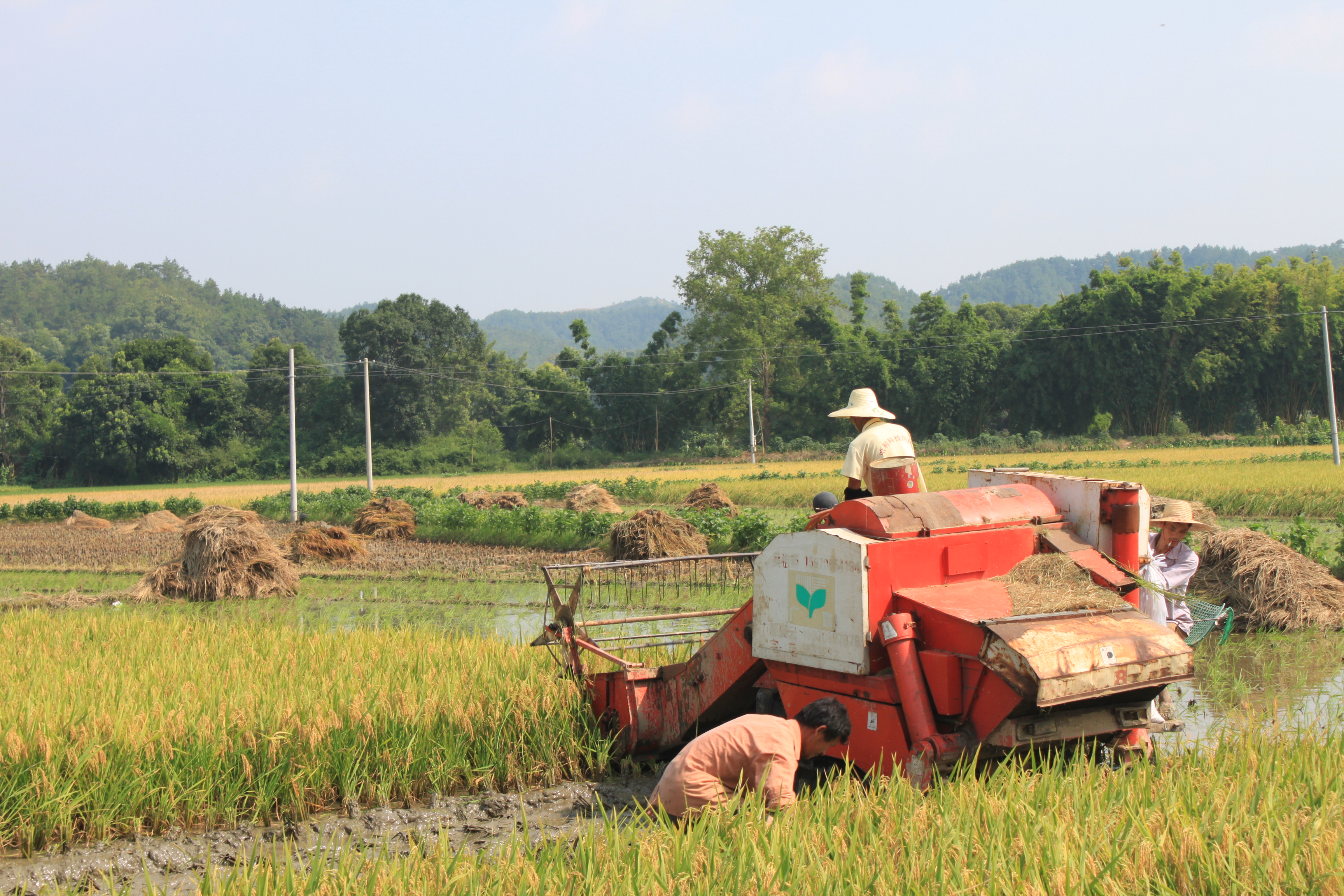 喜讯！丰泰农机专业合作社入选&ldquo;国家级示范社&rdquo;